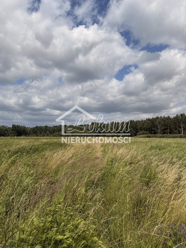 Działka budowlana 1100&nbsp;m², Niedźwiedź - zdjęcie 6