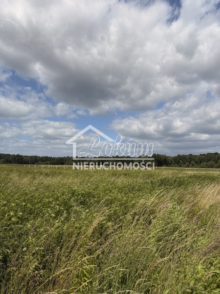 Działka budowlana 1100&nbsp;m², Niedźwiedź - zdjęcie 7