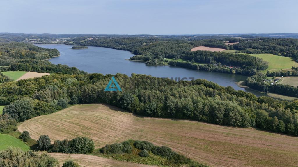 Działka z domkiem letniskowym na sprzedaż. - zdjęcie 7