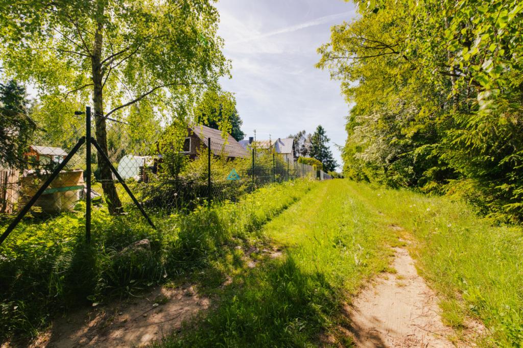 Działka w otulinie lasów! - zdjęcie 13