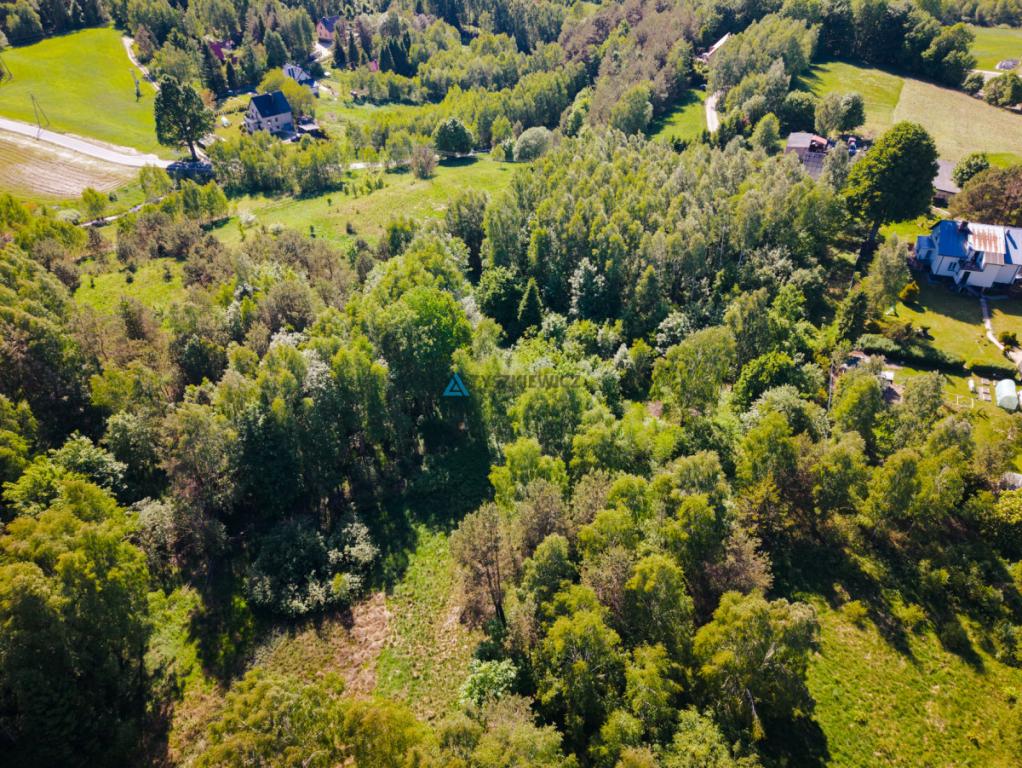 Działka w otulinie lasów! - zdjęcie 7