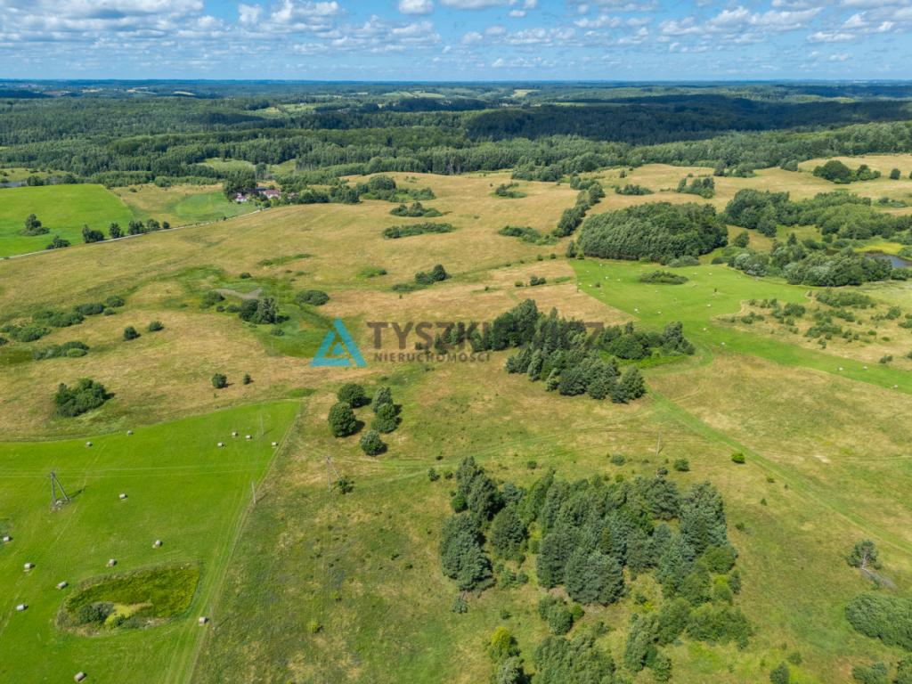 Działki Rolne w gminie Przywidz - zdjęcie 15