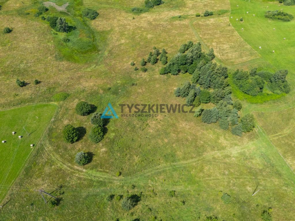 Działki Rolne w gminie Przywidz - zdjęcie 13