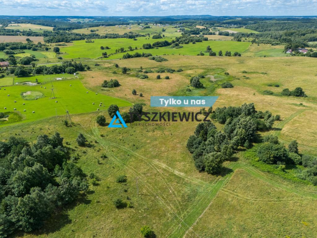 Działki Rolne w gminie Przywidz - zdjęcie 1
