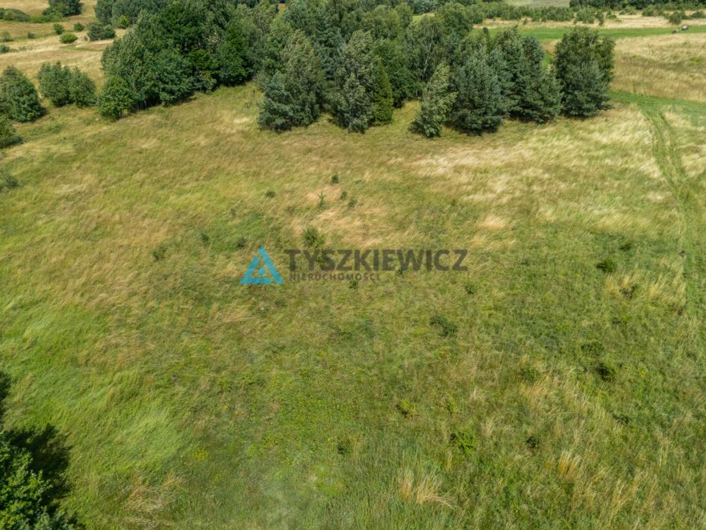 Działki Rolne w gminie Przywidz - zdjęcie 2