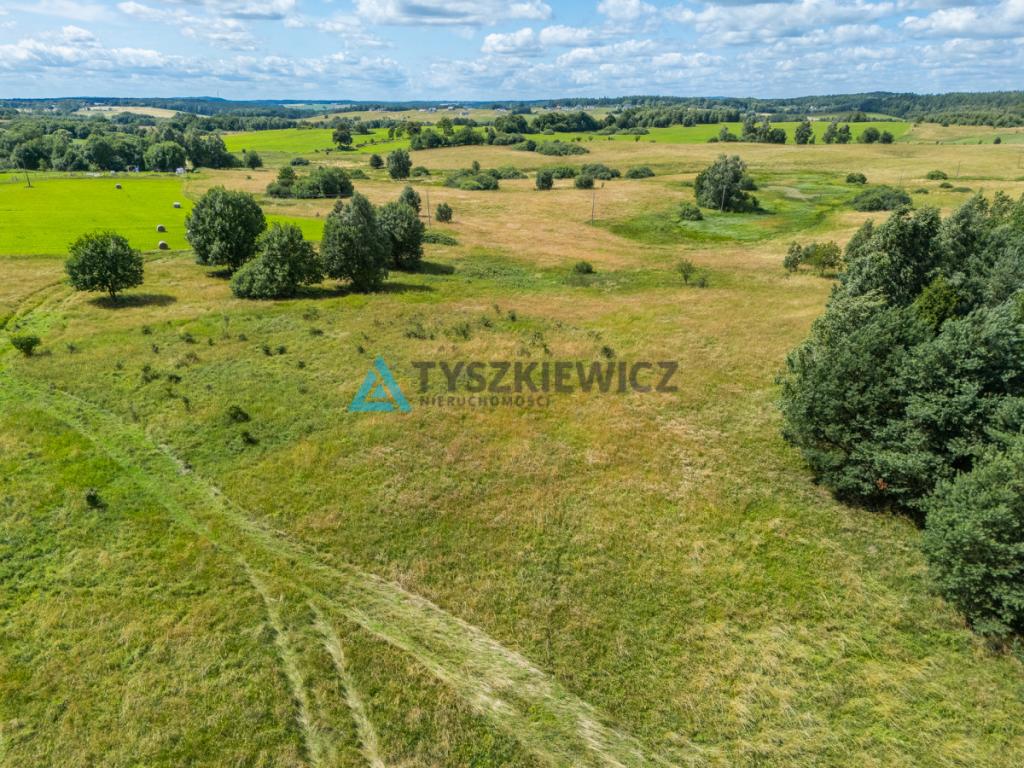 Działki Rolne w gminie Przywidz - zdjęcie 11