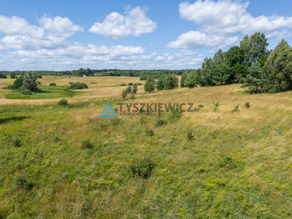 Działki Rolne w gminie Przywidz - zdjęcie 21