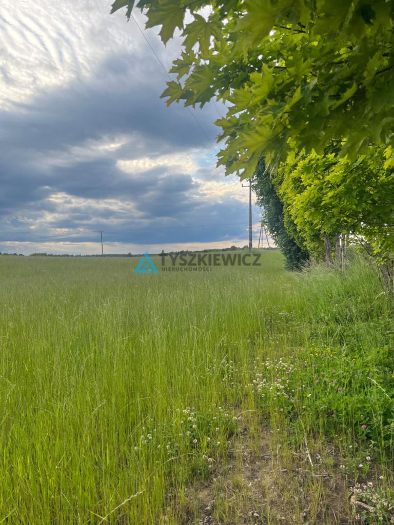 Działki Rolne w gminie Przywidz - zdjęcie 23