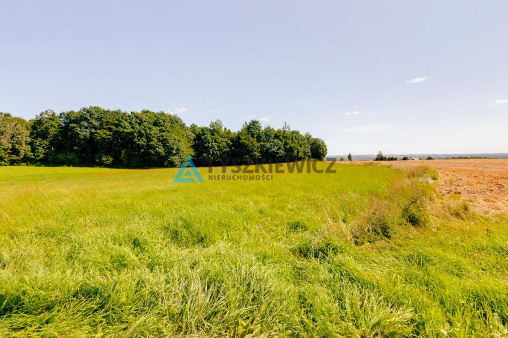 Przestrzeń, natura i ogromny potencjał - zdjęcie 10