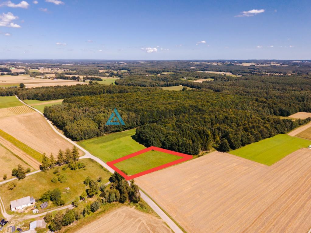 Przestrzeń, natura i ogromny potencjał - zdjęcie 9