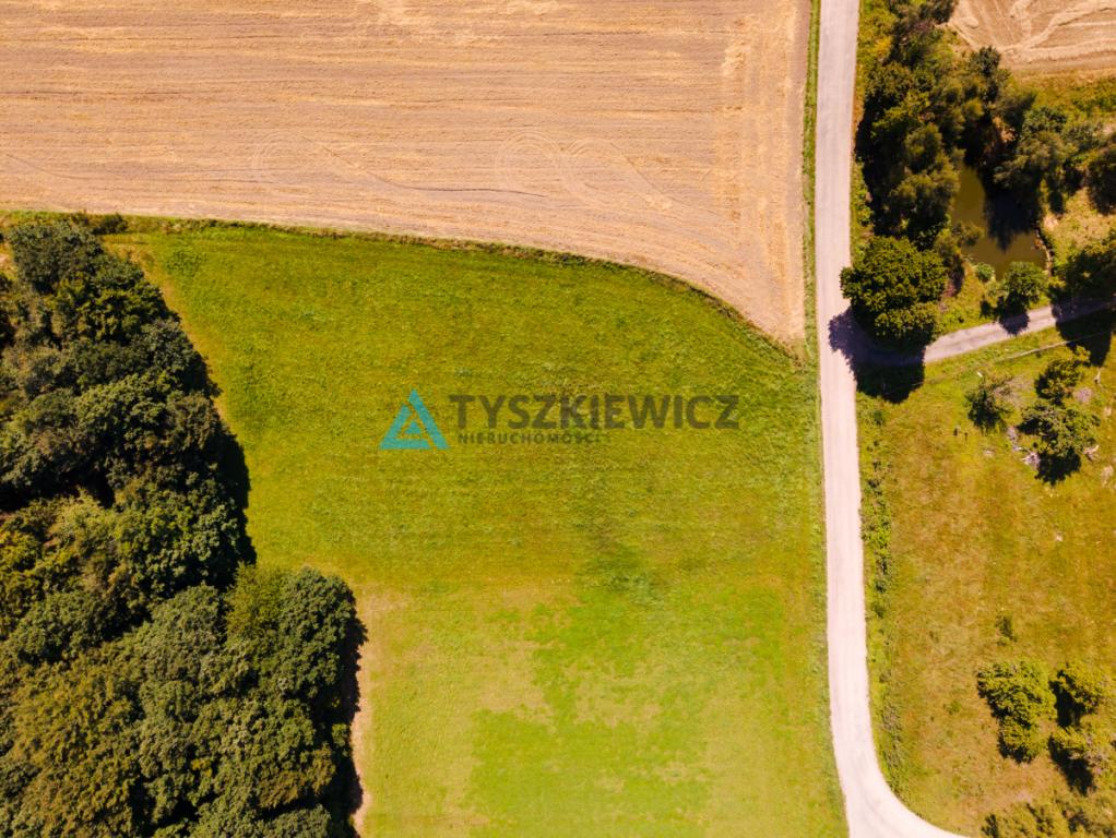 Przestrzeń, natura i ogromny potencjał - zdjęcie 7