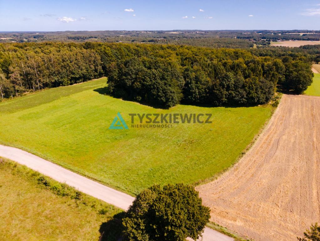 Przestrzeń, natura i ogromny potencjał - zdjęcie 5