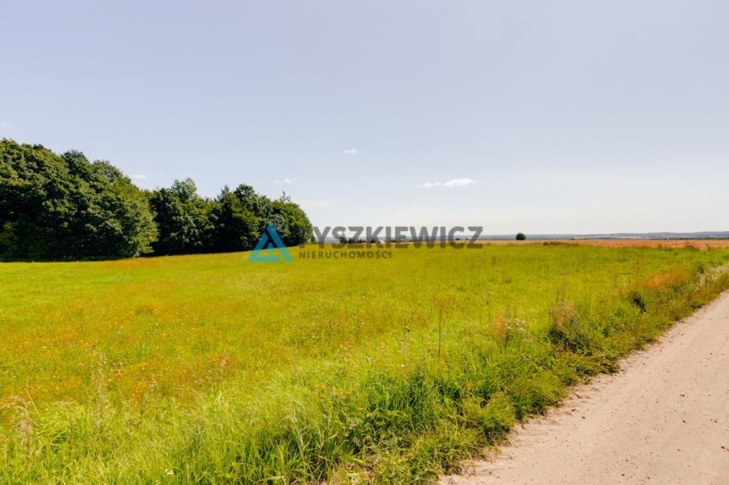Przestrzeń, natura i ogromny potencjał - zdjęcie 11