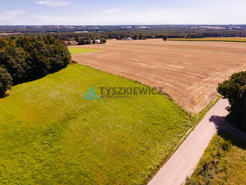 Przestrzeń, natura i ogromny potencjał - zdjęcie 4