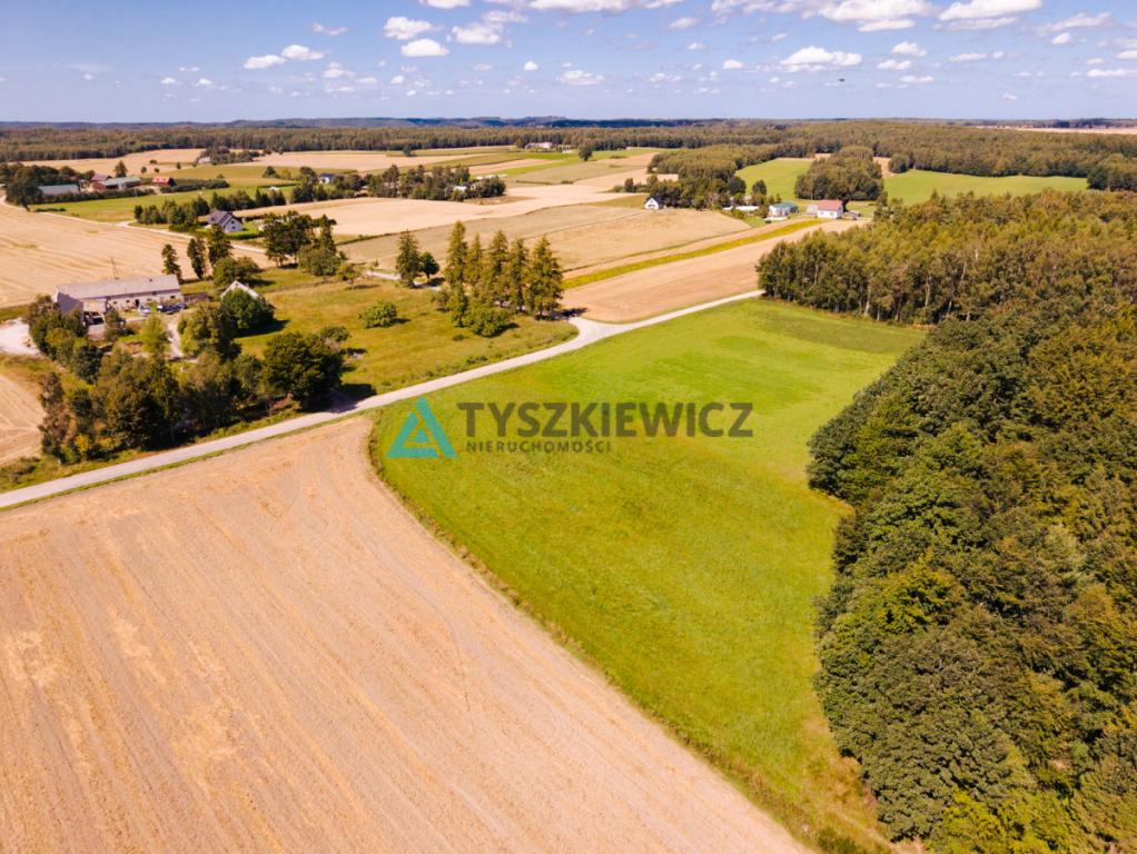 Przestrzeń, natura i ogromny potencjał - zdjęcie 6