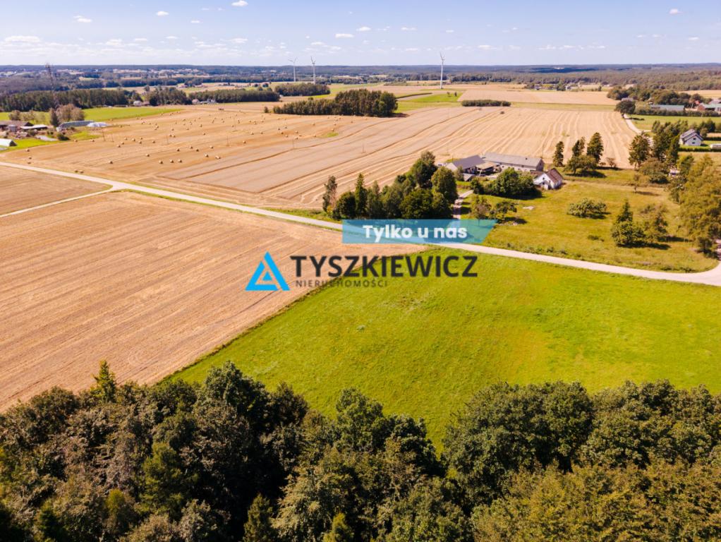 Przestrzeń, natura i ogromny potencjał - zdjęcie 1