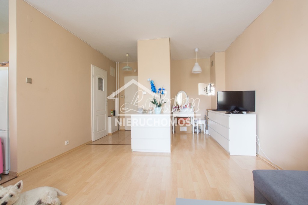 Mieszkanie 33&nbsp;m², Szczecin, Niebuszewo, Juliana Ursyna Niemcewicza - zdjęcie 3