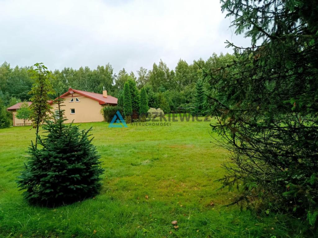 Wyjątkowe siedlisko z gotowym domem w Skarszewach - zdjęcie 29