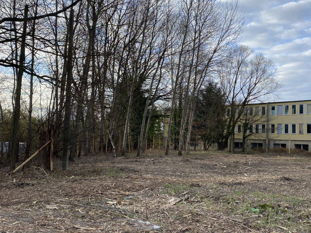 Działka inwestycyjna 6260&nbsp;m², Rzeczyce - zdjęcie 4