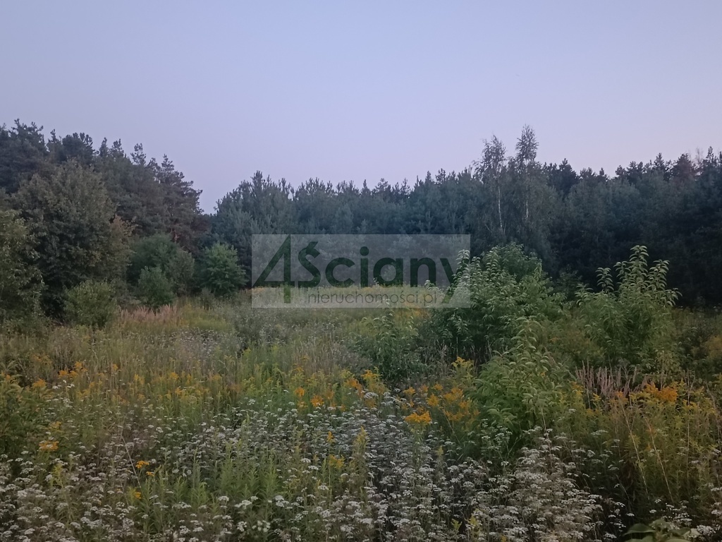 Dom 165&nbsp;m², Krubin - zdjęcie 3