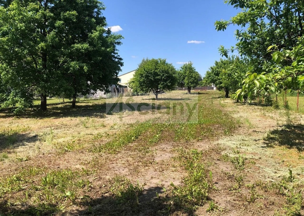 Działka budowlana 2000&nbsp;m², Rusiec - zdjęcie 1