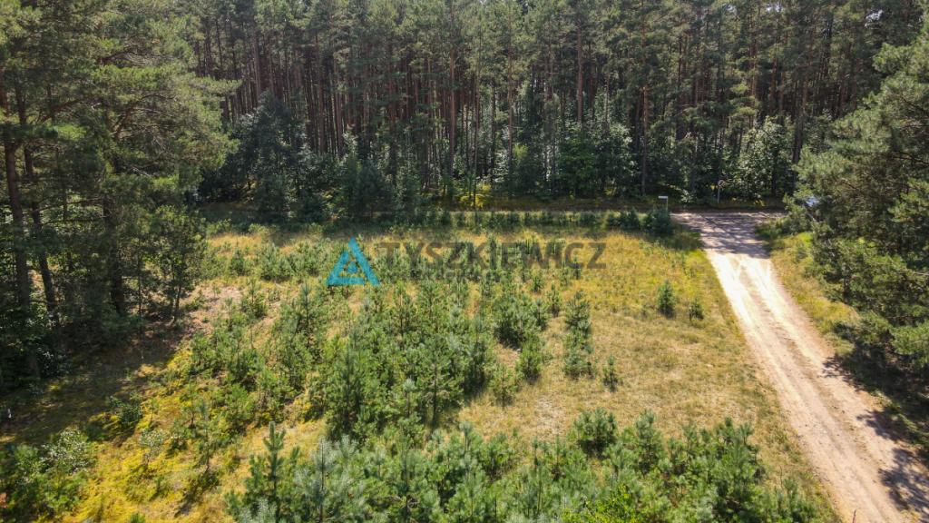 Na sprzedaż działka w Borach Tucholskich/ Bukowiny - zdjęcie 13