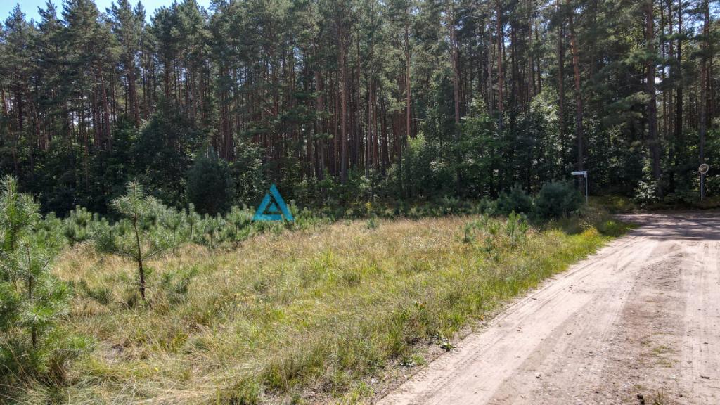 Na sprzedaż działka w Borach Tucholskich/ Bukowiny - zdjęcie 3