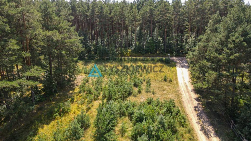 Na sprzedaż działka w Borach Tucholskich/ Bukowiny - zdjęcie 11