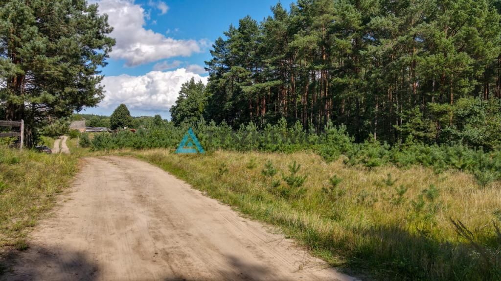 Na sprzedaż działka w Borach Tucholskich/ Bukowiny - zdjęcie 4