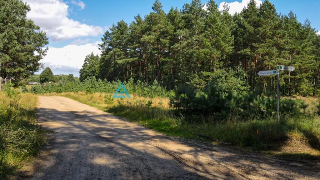 Na sprzedaż działka w Borach Tucholskich/ Bukowiny - zdjęcie 5
