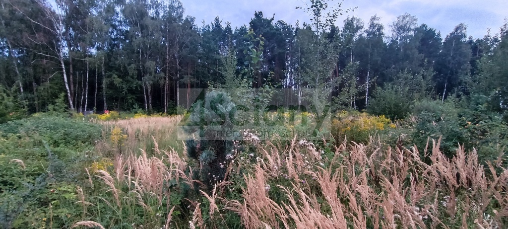 Działka budowlana 2327 m², Osowiec - zdjęcie 1