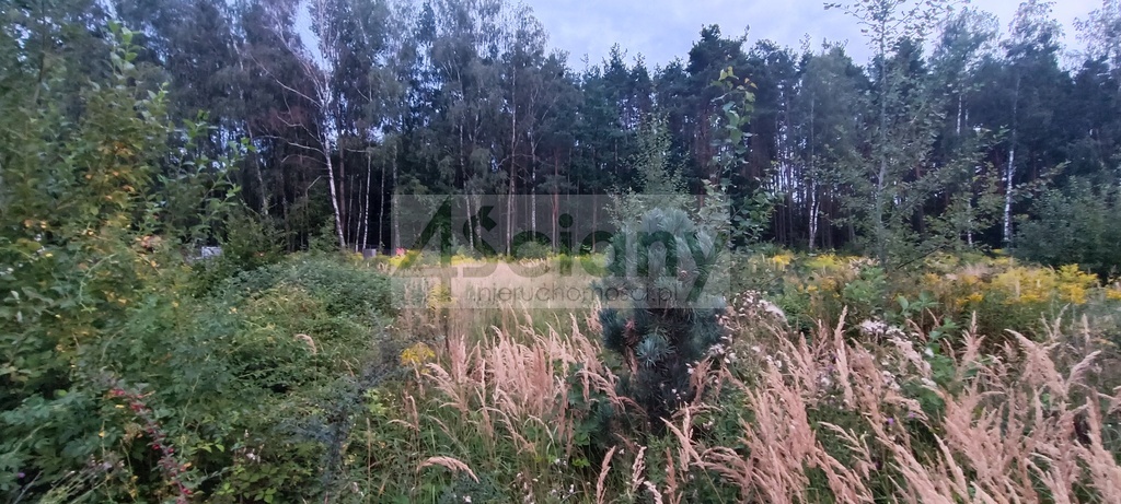 Działka budowlana 2327 m², Osowiec - zdjęcie 2