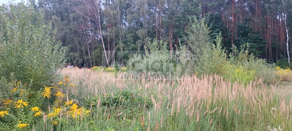 Działka budowlana 2327 m², Osowiec - zdjęcie 3