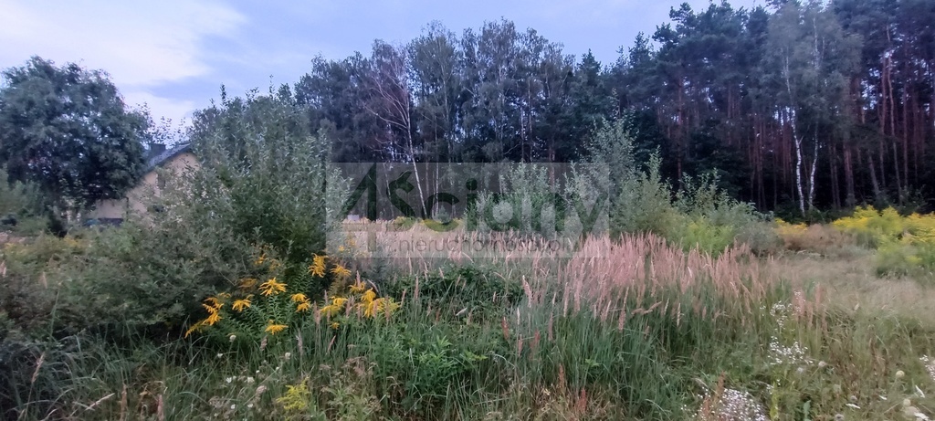 Działka budowlana 2327 m², Osowiec - zdjęcie 4