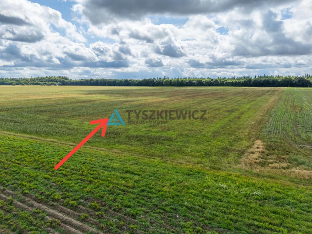 Atrakcyjna działka rolna w strefie jednorodzinnej - zdjęcie 10