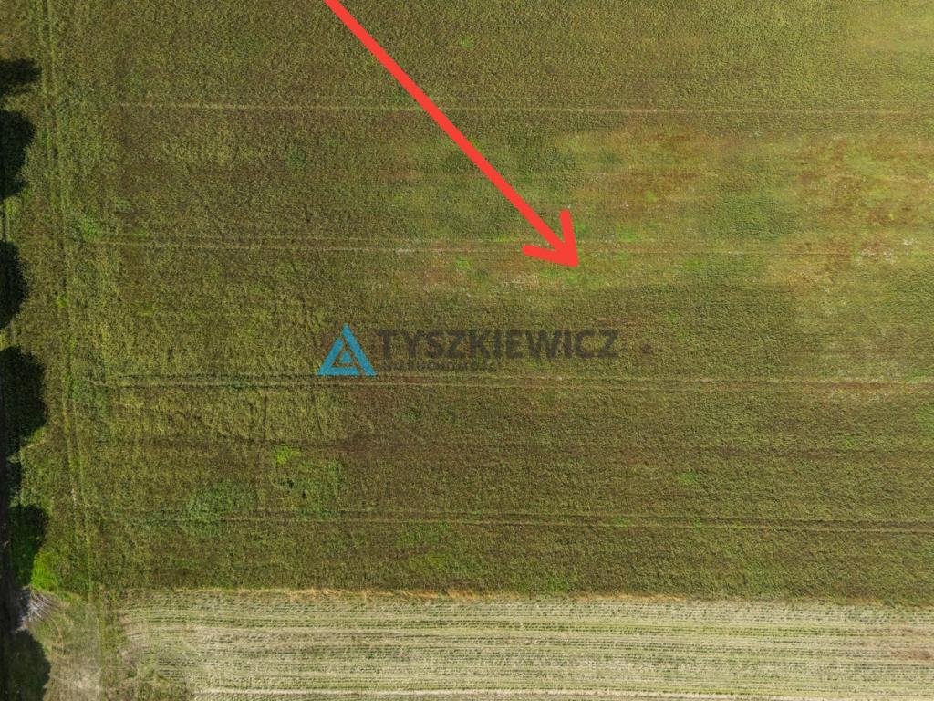 Atrakcyjna działka rolna w strefie jednorodzinnej - zdjęcie 10