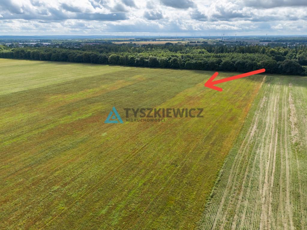 Atrakcyjna działka rolna w strefie jednorodzinnej - zdjęcie 11