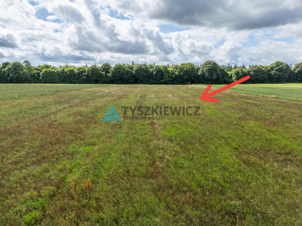 Atrakcyjna działka rolna w strefie jednorodzinnej - zdjęcie 9