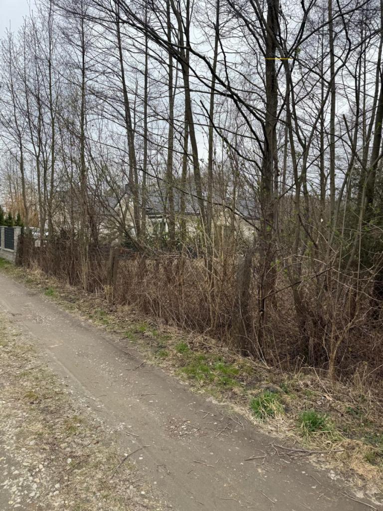 Wyjątkowa działka budowlana w otoczeniu natury - zdjęcie 3