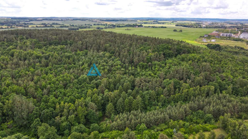 Narożna działka tuż przy Pruszczu Gd. (1120m2) - zdjęcie 19