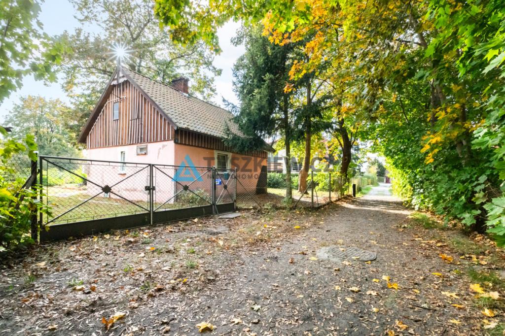 Działka w centrum Stegny - zdjęcie 6
