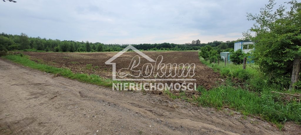 Działka budowlana 1400&nbsp;m², Binowo - zdjęcie 9