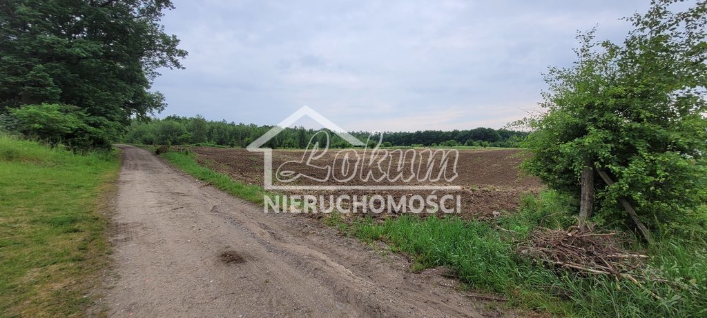 Działka budowlana 1400&nbsp;m², Binowo - zdjęcie 2