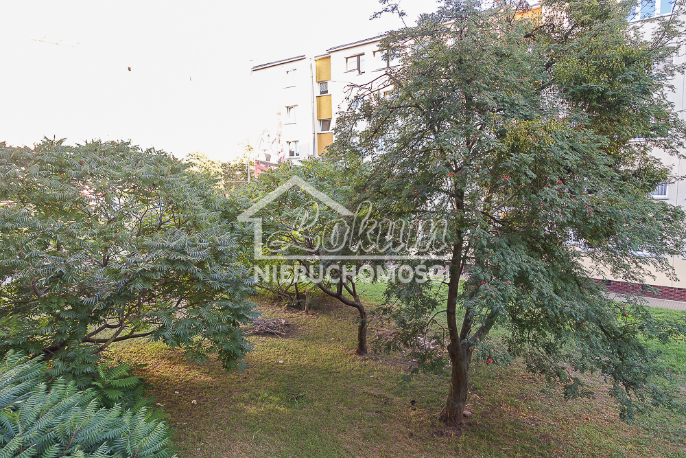 Mieszkanie 41,1 m², Szczecin, Śródmieście, al. Wyzwolenia - zdjęcie 17