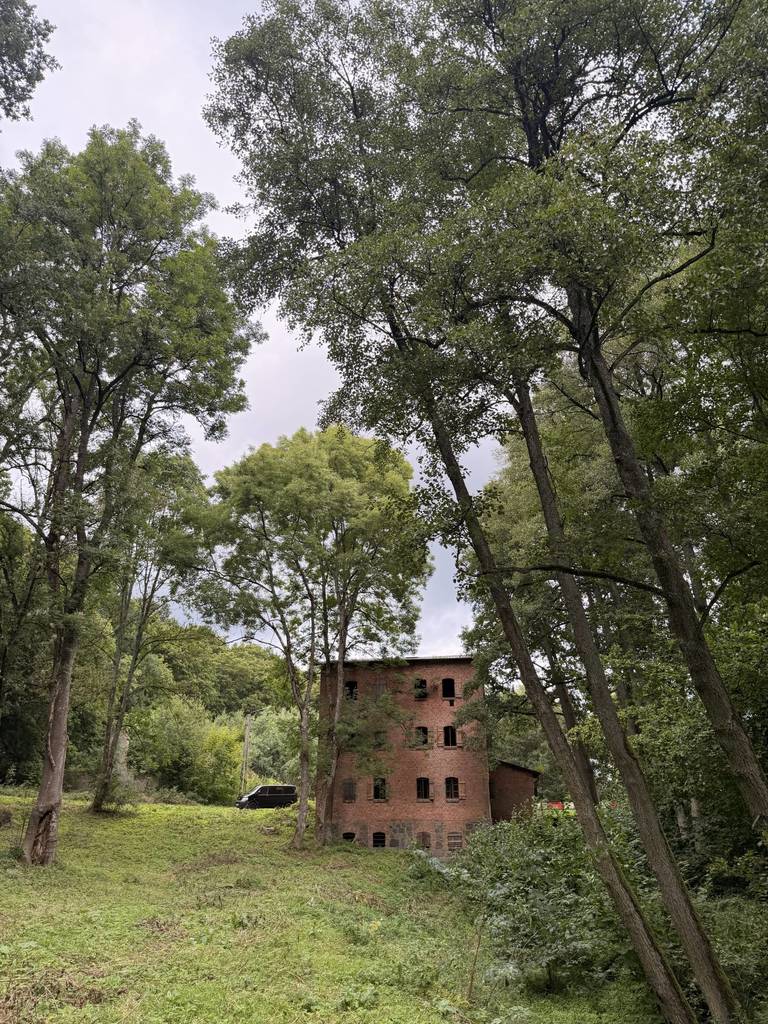 Dom 325 m², Brzeźnica-Kolonia - zdjęcie 9