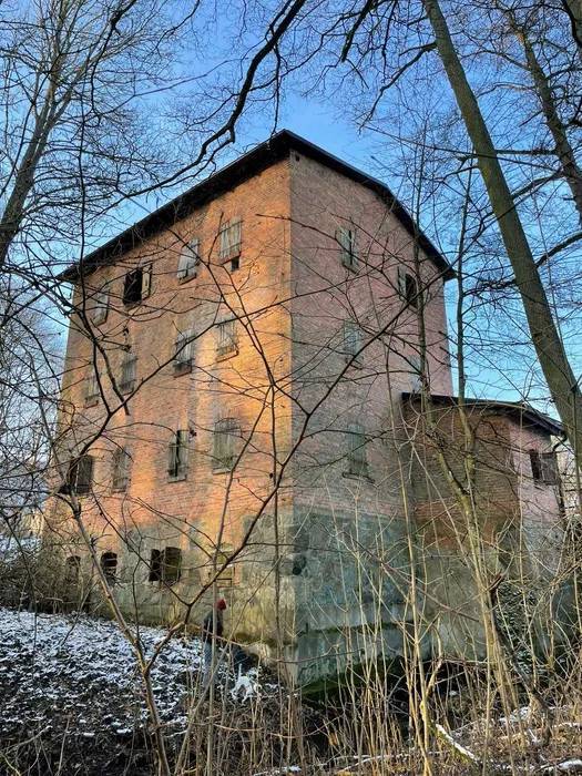 Dom 325 m², Brzeźnica-Kolonia - zdjęcie 5