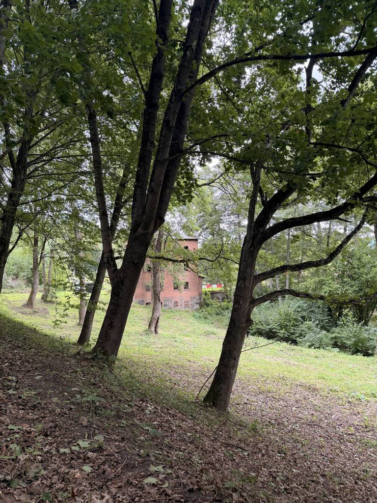Dom 325 m², Brzeźnica-Kolonia - zdjęcie 8