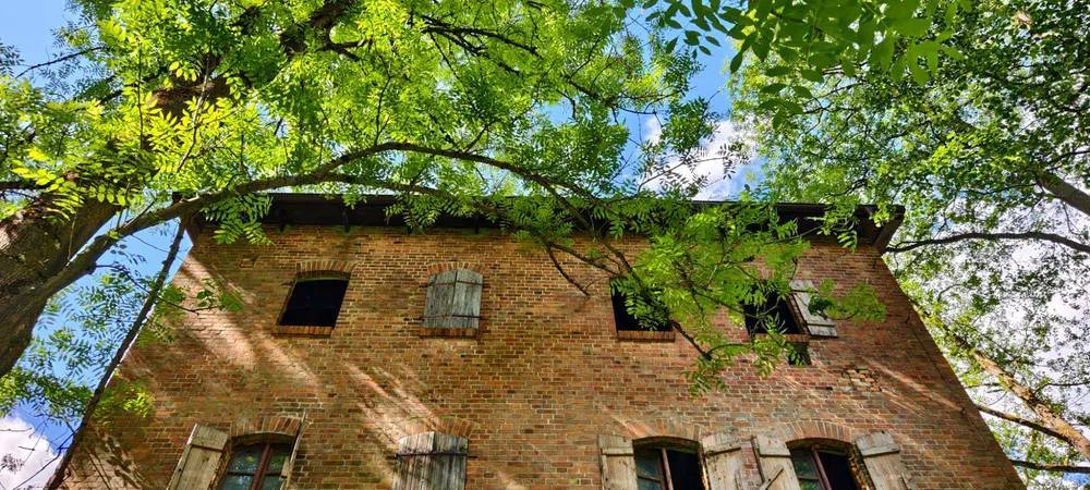 Dom 325 m², Brzeźnica-Kolonia - zdjęcie 4