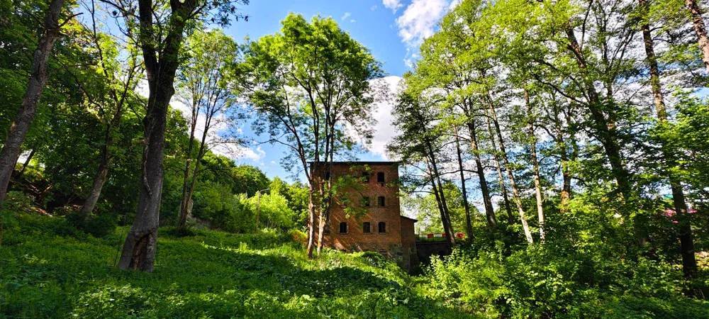 Dom 325 m², Brzeźnica-Kolonia - zdjęcie 1