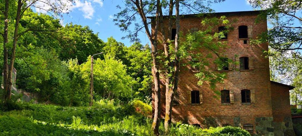 Dom 325 m², Brzeźnica-Kolonia - zdjęcie 2